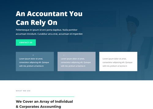 Accountant