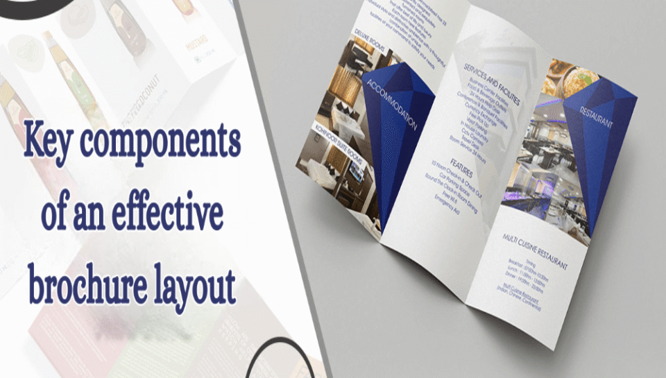 Detail the key components of an effective brochure layout. Hello InTech