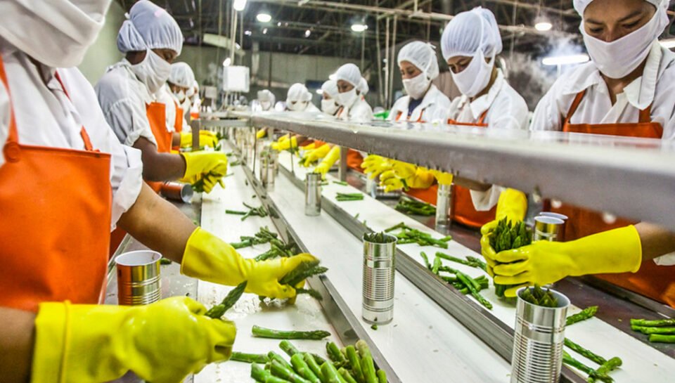 Briefly discuss the challenges of packaging design in the food industry. Hello InTech