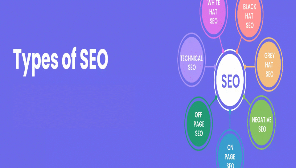 What are the main types of SEO? Hello InTech