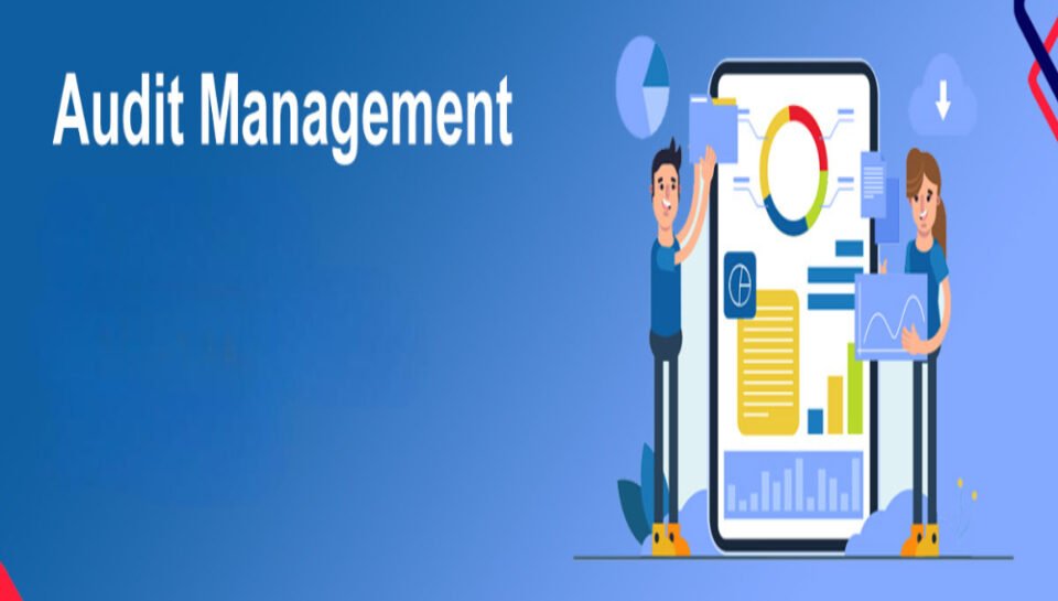 Define the standards followed in compliance audits for app management in Tamil Nadu. Hello InTech