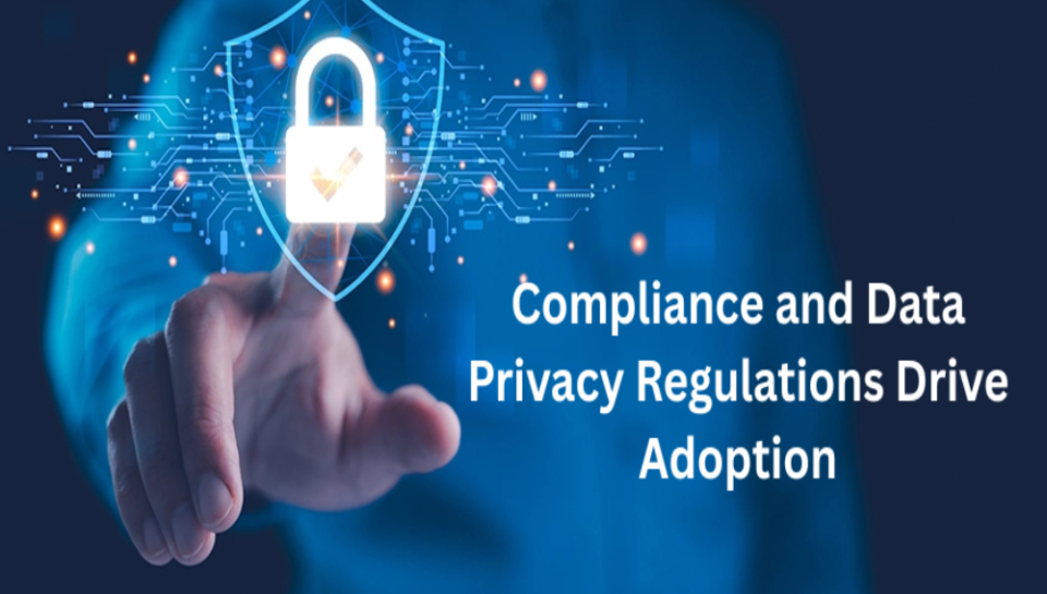 Compliance and Data Privacy Regulations Drive Adoption of Proactive IT Governance in India.